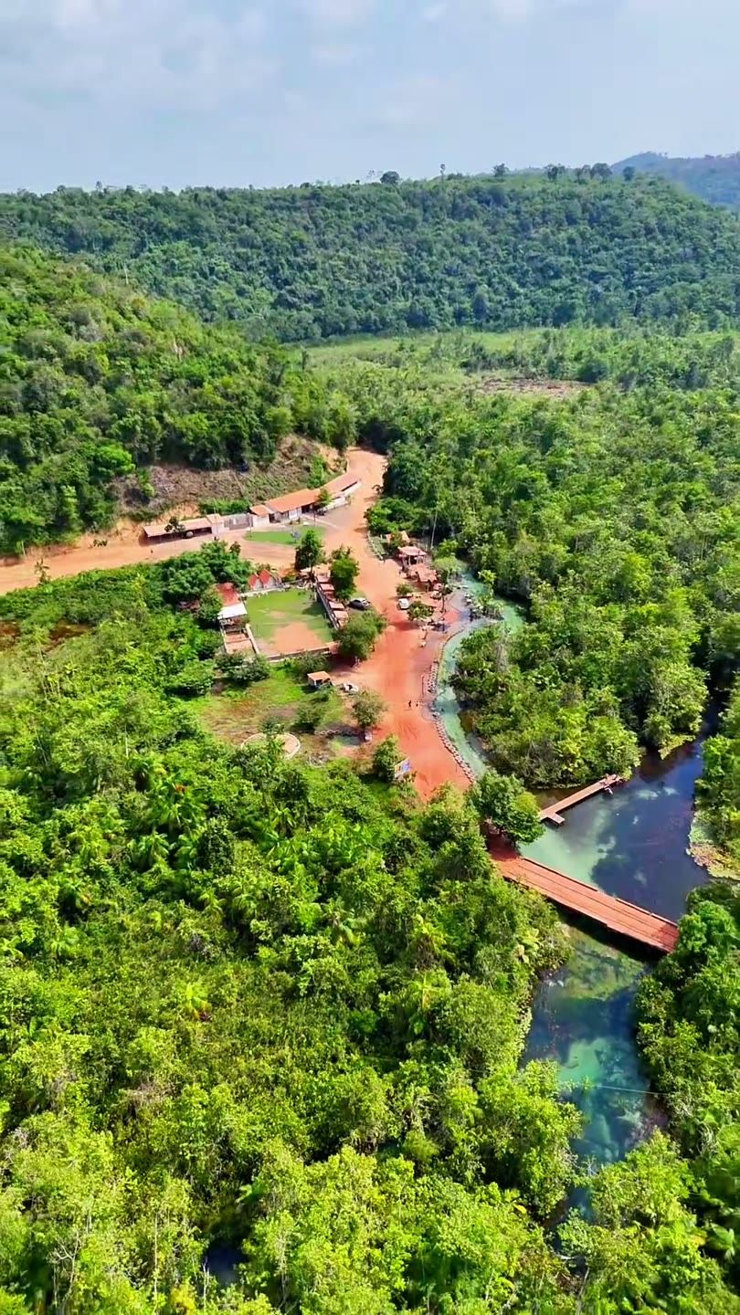 Vista aérea da mata