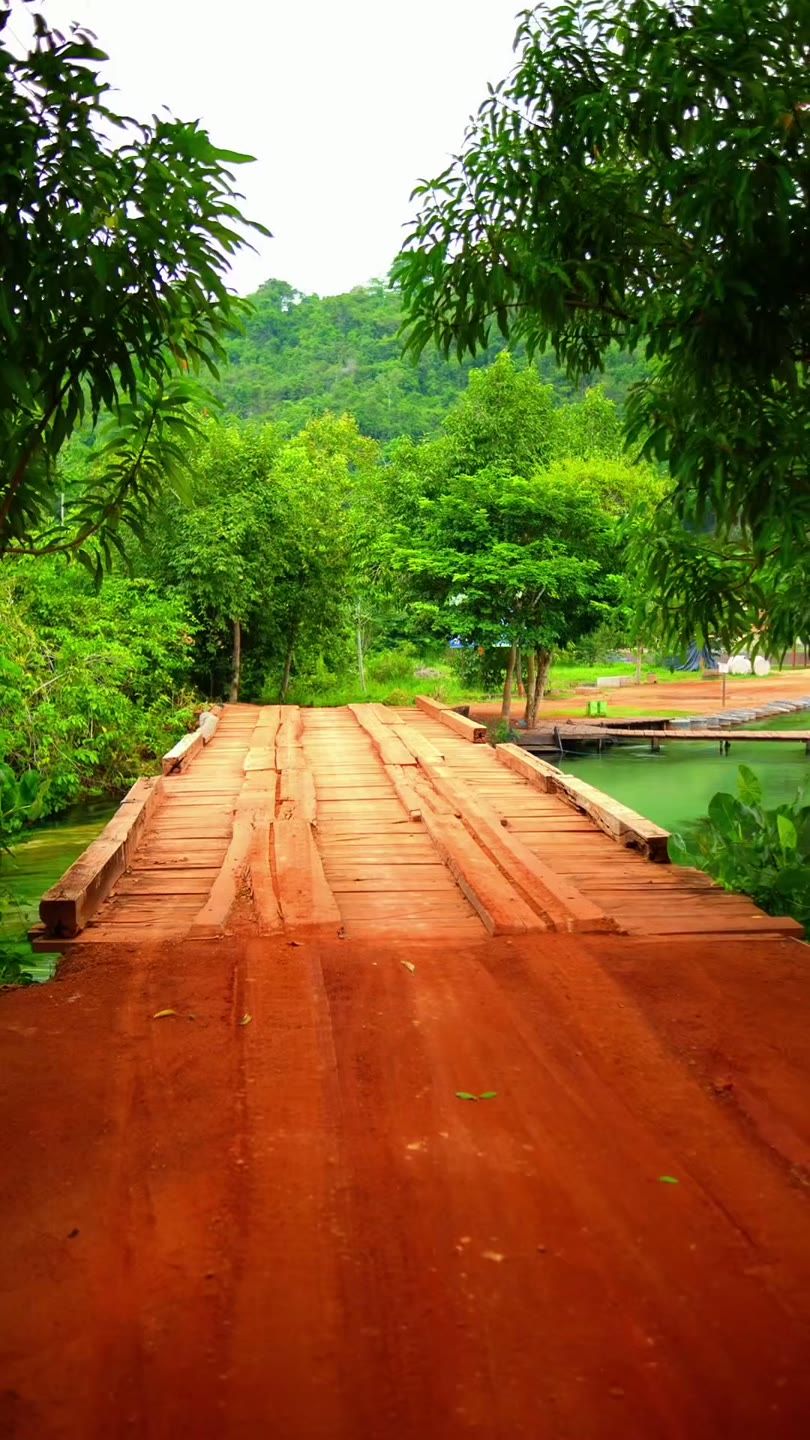 Natureza ao redor do camping